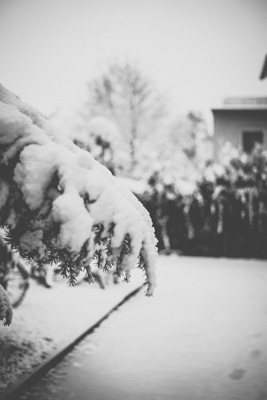 First snow in the backyard II