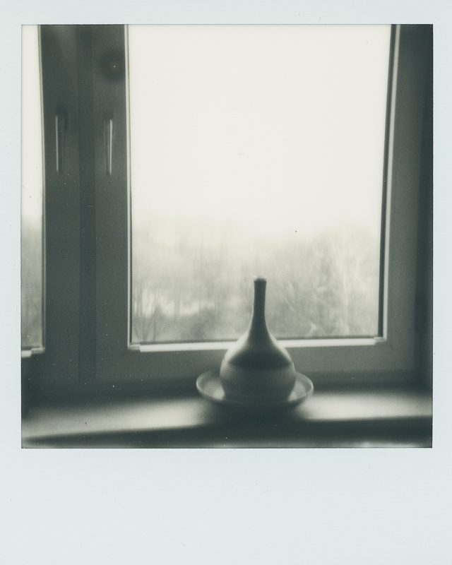 Nebel mit Vase